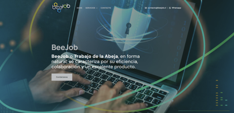 Páginas web informatica